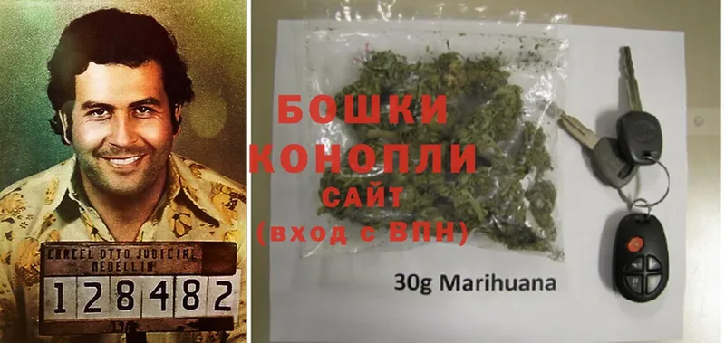 Конопля OG Kush  Железноводск 